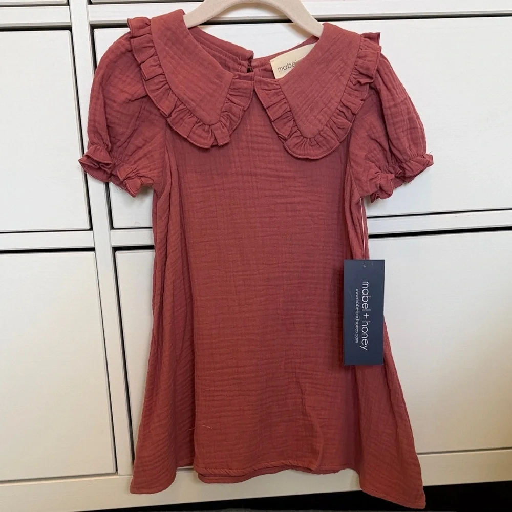 NWT Girls Ruffled Collar Dress in Dusty Rose